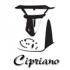 Profile picture for user OCipriano