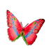Profile picture for user Papillon