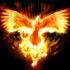 Profile picture for user Dora_Antunes