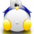 Profile picture for user kkhull