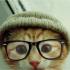 Profile picture for user Gato Quadraddo