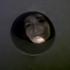 Profile picture for user Natalia Demarco