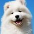 Profile picture for user sandrabdd