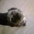 Profile picture for user carlitamaria