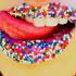 Profile picture for user telma.p.rocha